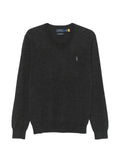 Polo Ralph Lauren Polo Pony sweater